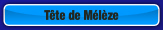 Tête de Mélèze.